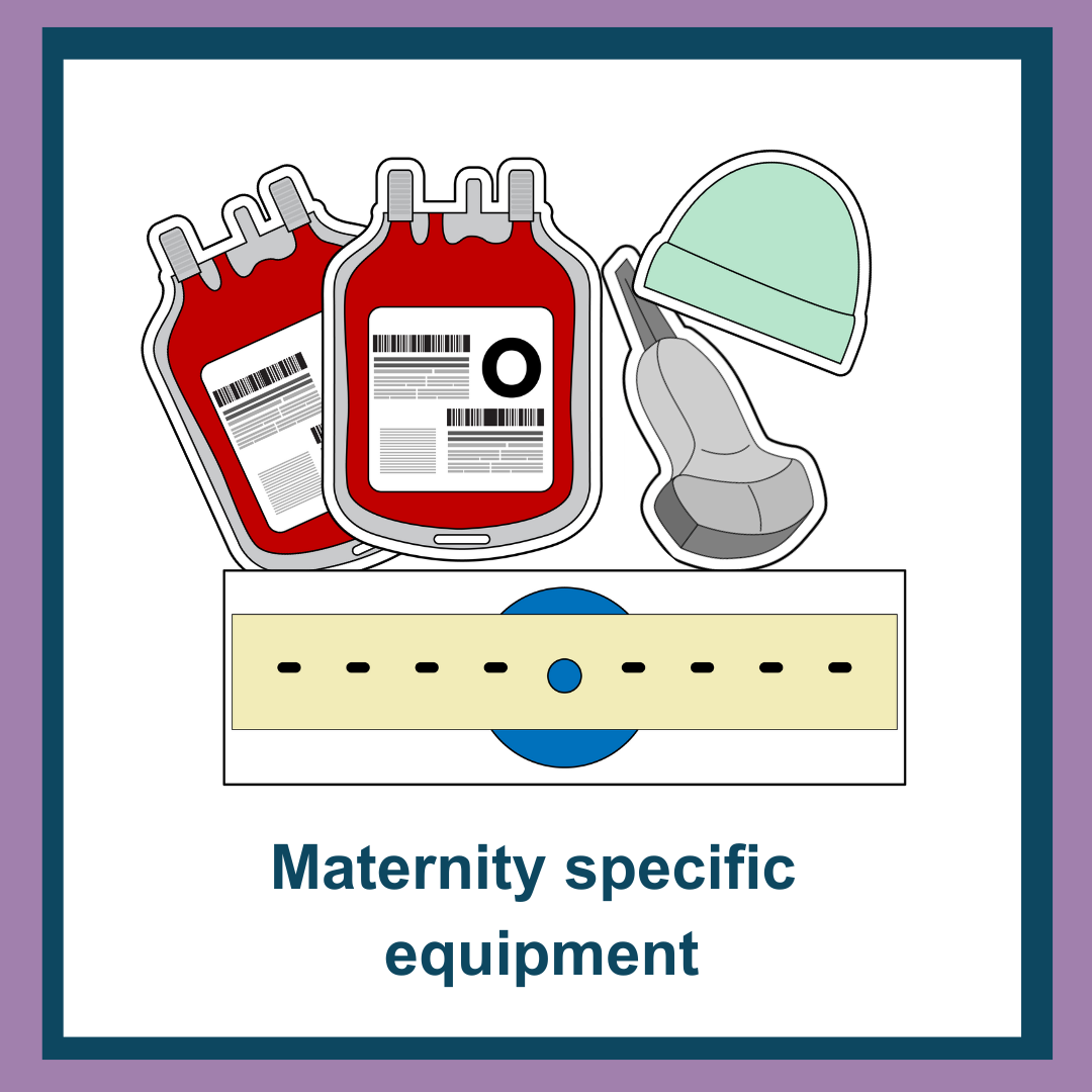SimSimple Maternity Module
