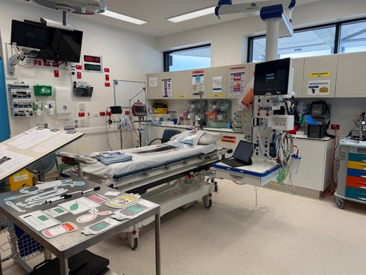 Building Shared Mental Models on Shift: VEMS in a Regional Emergency Department